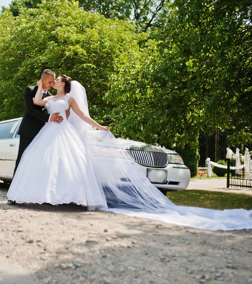 Limo Service Wood Dale wedding